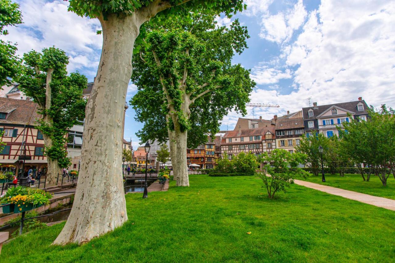 Le Rapp - Centre Historique - Wifi - Tout Confort Colmar Bagian luar foto